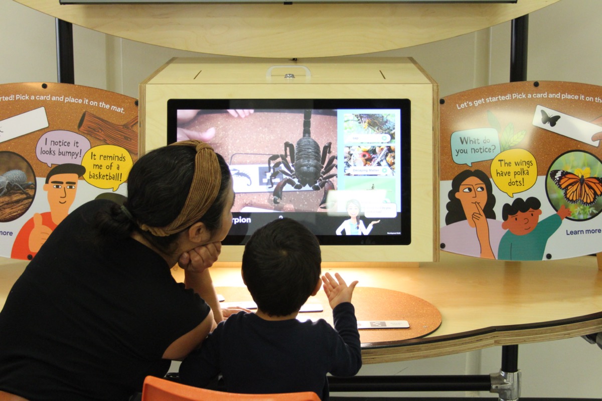 An adult and child are at the Bugtopia exhibit learning about bugs